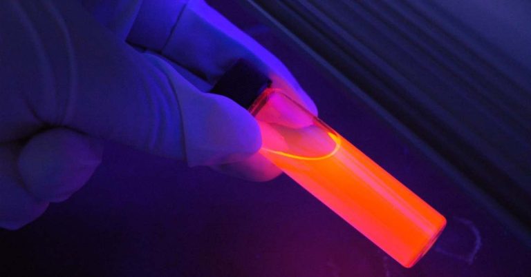 Singapore Laser Tag: A High-Energy Experience Combining Strategy, Fun, and Teamwork